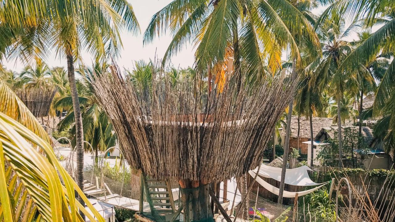 פאג'ה The Nest Boutique Resort מראה חיצוני תמונה